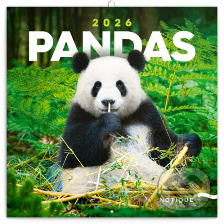 NOTIQUE Nástenný poznámkový kalendár Pandas (Pandy) 2026 (Notique)