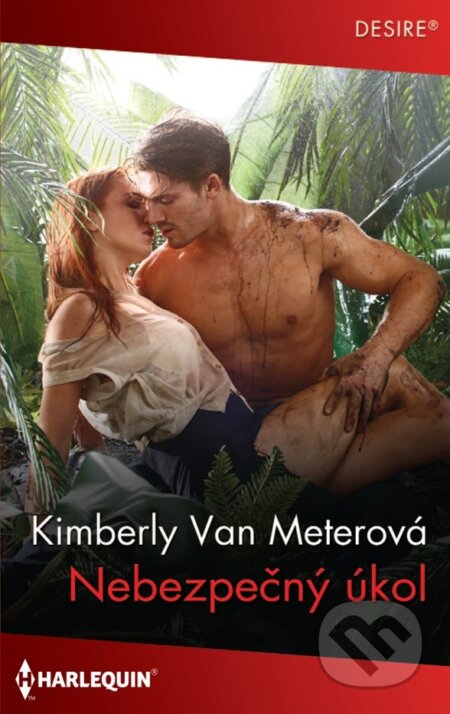 E-kniha: Nebezpečný úkol (Kimberly Van Meter)