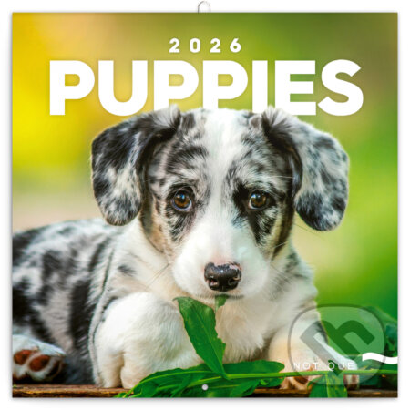 NOTIQUE Nástenný poznámkový kalendár Puppies (Šteňatá) 2026 (Notique). Notique, 2025