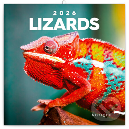 NOTIQUE Nástenný poznámkový kalendár Lizards (Jaštery) 2026 (Notique). Notique, 2025