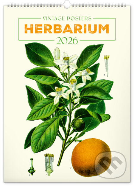 NOTIQUE Nástenný kalendár Vintage posters – herbarium (Vintage plagáty – herbár) 2026