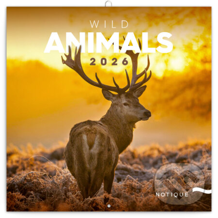 NOTIQUE Nástenný poznámkový kalendár Wild animals (Divoké zvieratá) 2026 (Notique). Notique, 2025