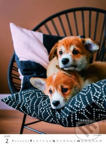 Štěňátka 2026 - nástěnný kalendář
