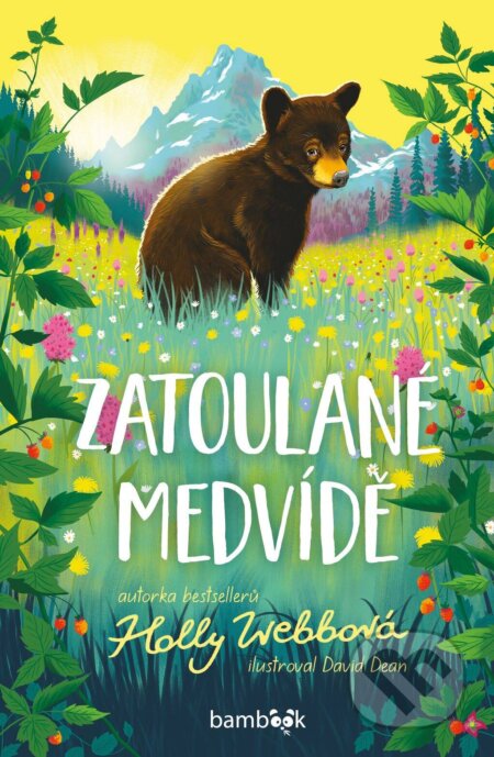 E-kniha: Zatoulané medvídě (Holly Webb a David Dean)