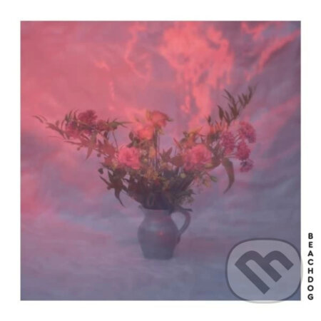 Beachdog: Beachdog - Beachdog