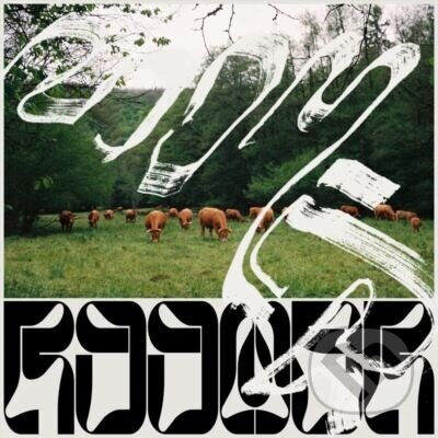 Roomer:  Skice LP