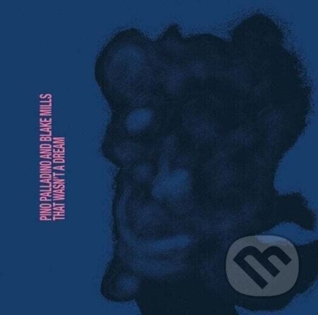 Pino Palladino And Blake Mills: That Wasn´T A Dream LP