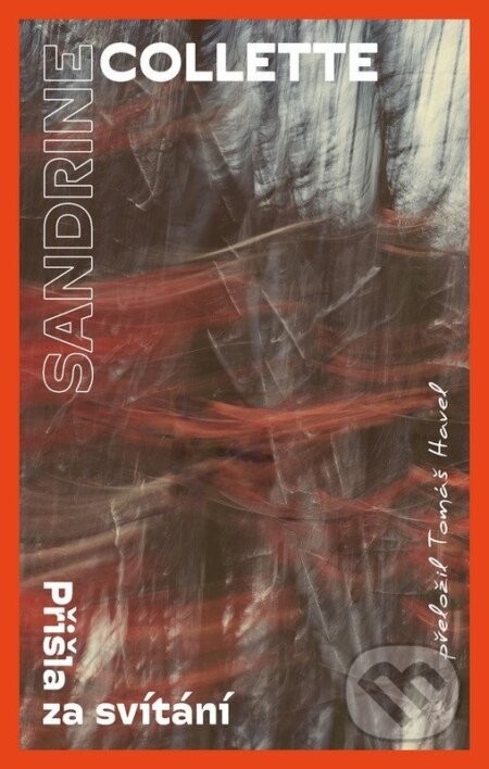 Kniha Přišla za svítání