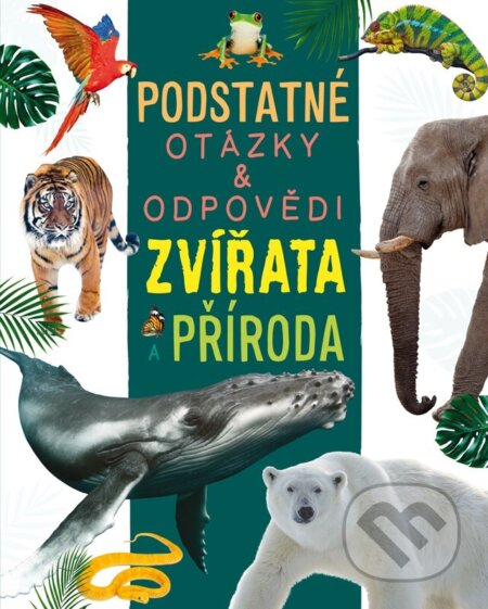 Kniha: Zvířata a příroda (Nicola Deschamps a Rebecca Kealy). Rebo, 2025
