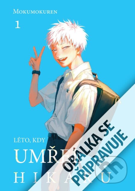 Kniha Léto, kdy umřel Hikaru 1