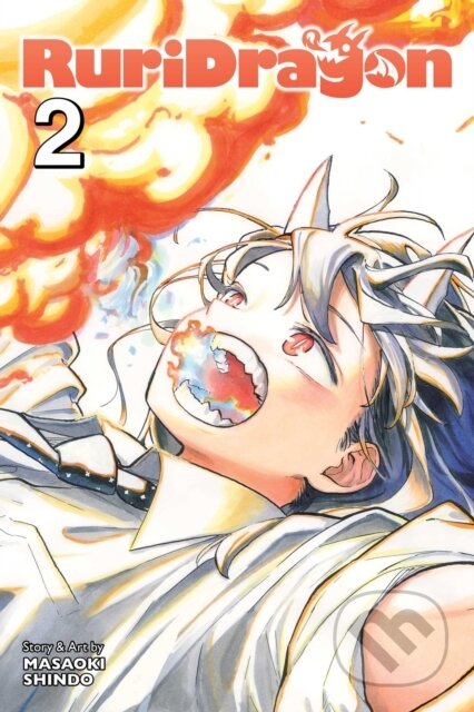 RuriDragon, Vol. 2 - Masaoki Shindo - kniha z kategorie Komiksy