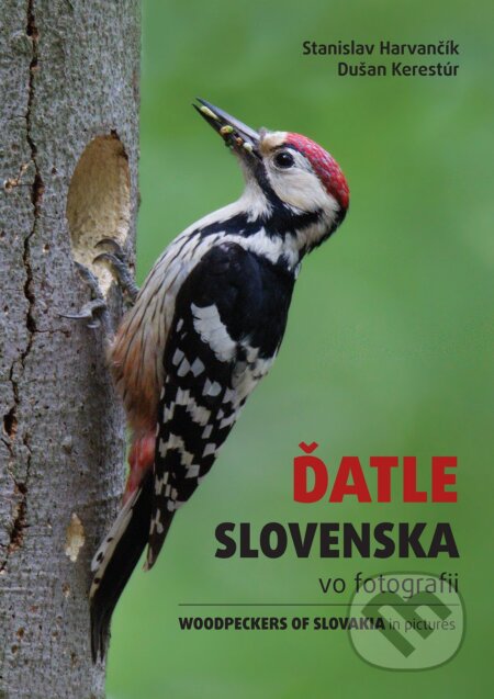 Kniha: Ďatle Slovenska vo fotografii (Stanislav Harvančík a Dušan Kerestúr). BIRDPHOTO SLOVAKIA, 2025