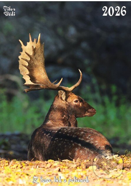 Kniha Z lesov lúk a polianok