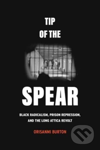 Kniha Tip of the Spear