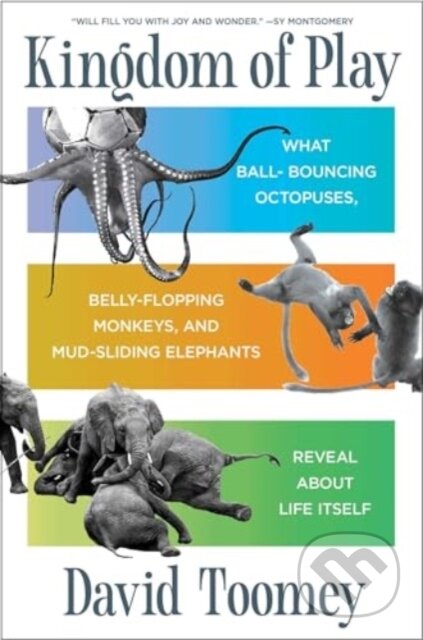 Kingdom of Play koupíte na Martinus.cz