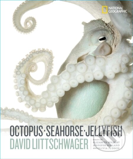 Kniha: Octopus, Seahorse, Jellyfish (David Littschwager). National Geographic Society, 2022