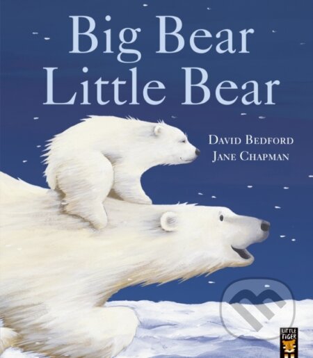 Kniha Big Bear Little Bear