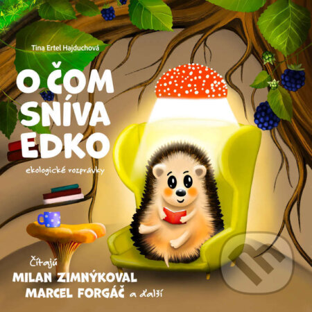 Audiokniha: O čom sníva Edko (Tina Ertel Hajduchová). THE Design, 2025