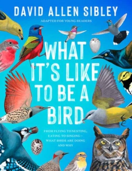 Kniha What It's Like to Be a Bird (Adapted for Young Readers)