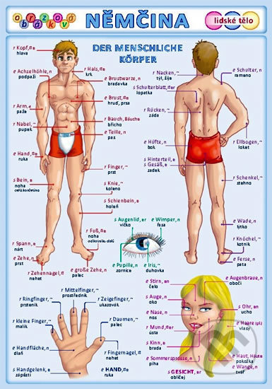 Obrázková němčina: Lidské tělo - Petr Kupka - kniha z kategorie Jazykové učebnice a slovníky