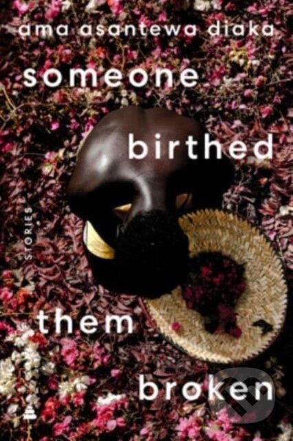 someone birthed them broken (Stories) - Ama Asantewa Diaka