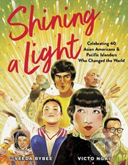 Kniha: Shining a Light (Veeda Bybee). , 2023