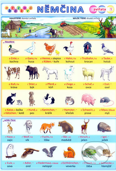 Obrázková němčina: Zvířata - Petr Kupka - kniha z kategorie Jazykové učebnice a slovníky