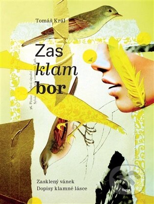 Zasklambor - Tomáš Král