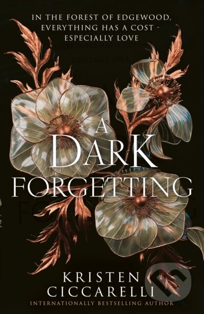 A Dark Forgetting - Kristen Ciccarelli - kniha z kategorie Fantasy