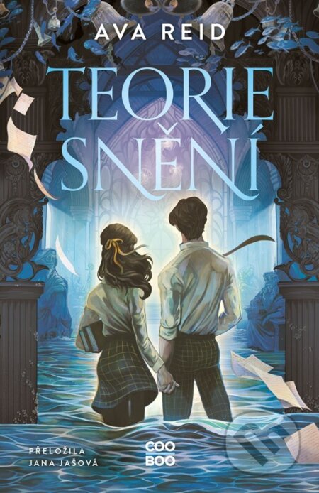 Teorie snění - Ava Reid