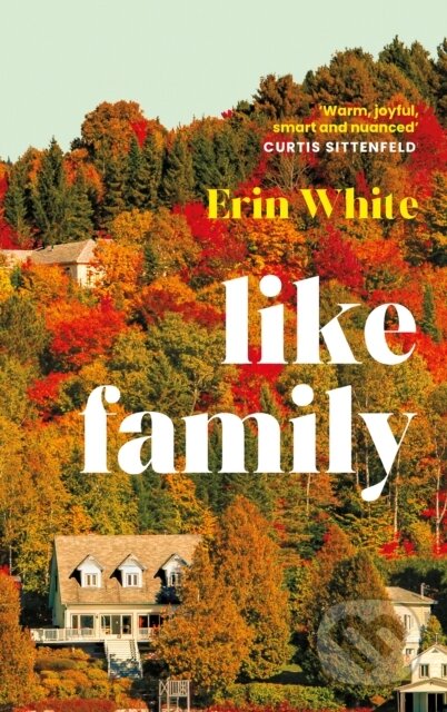Like Family - Erin White - kniha z kategorie Beletrie