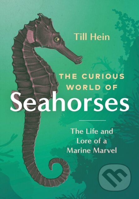 Kniha: The Curious World of Seahorses (Till Hein). , 2023