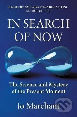 In Search of Now - -
