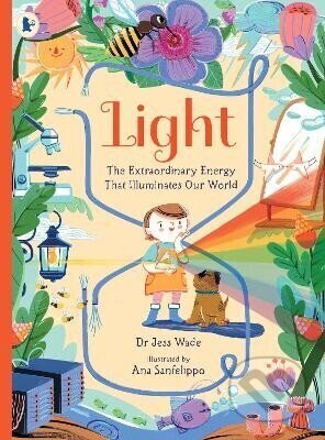 Light: The Extraordinary Energy That Illuminates Our World
