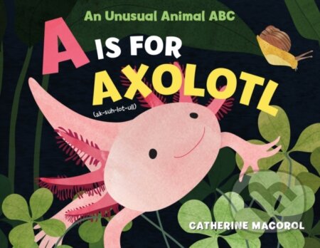 A Is for Axolotl: An Unusual Animal ABC - Catherine Macorol - kniha z kategorie Pro děti