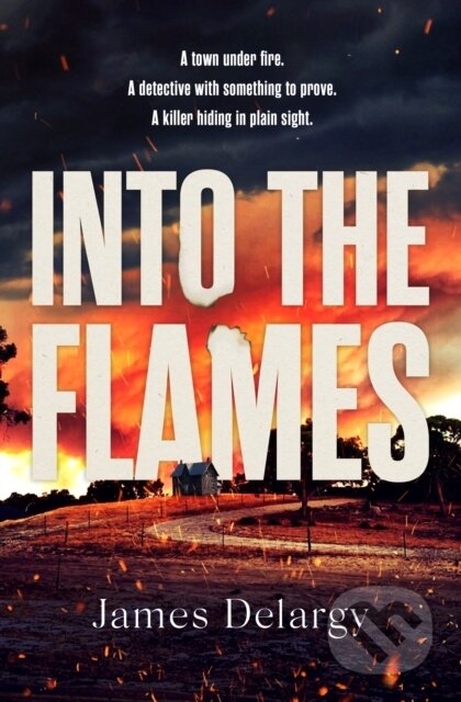 Into the Flames (The scorching new summer thriller)