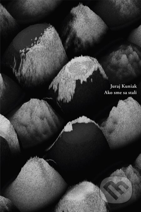 E-kniha: Ako sme sa stali (Juraj Kuniak). Skalná ruža, 2026