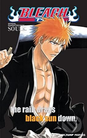 Bleach SOULs: Official Character Book - Tite Kubo - kniha z kategorie Komiksy