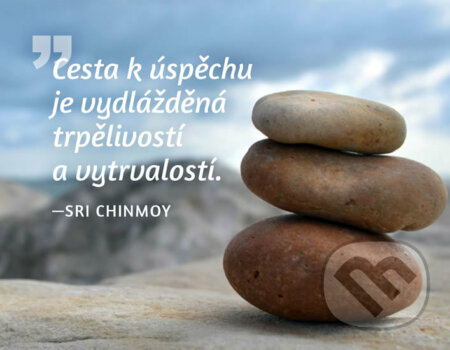 Magnet na lednici Cesta k úspěchu... - Sri Chinmoy