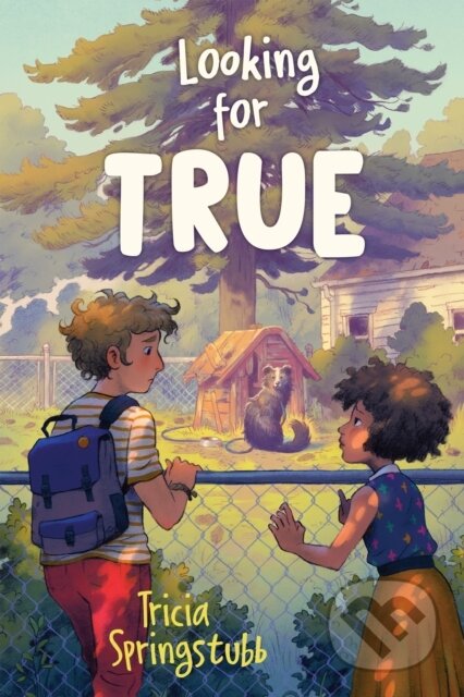 Looking for True - Tricia Springstubb