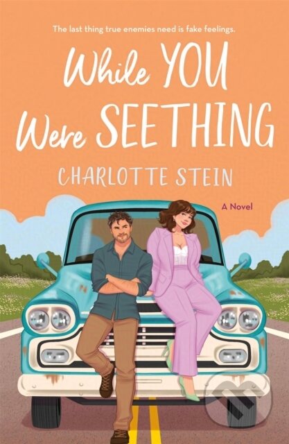While You Were Seething - Charlotte Stein - kniha z kategorie Romantická