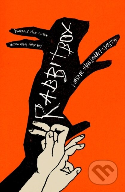 Kniha: RABBITBOX (Wayne Holloway-Smith). Scribner, 2026