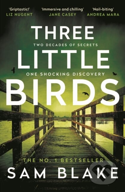 Three Little Birds ('The modern-day Agatha Christie' Steve Cavanagh)