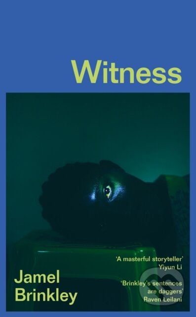 Witness - Jamel Brinkley - kniha z kategorie Společenská beletrie