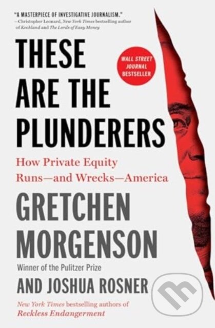 These Are the Plunderers (How Private Equity Runs—and Wrecks—America)