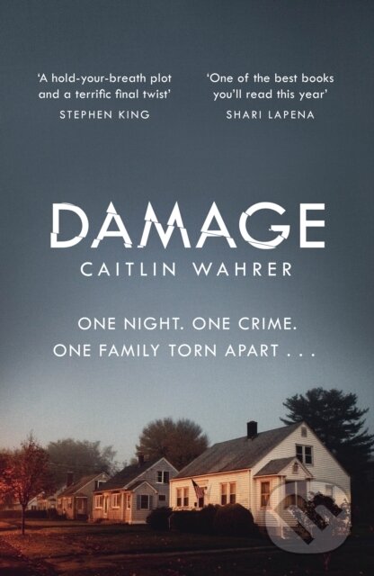 Damage (An unputdownable and emotionally gripping debut with a twist you won't see coming) - kniha z kategorie Detektivky, thrillery a horory