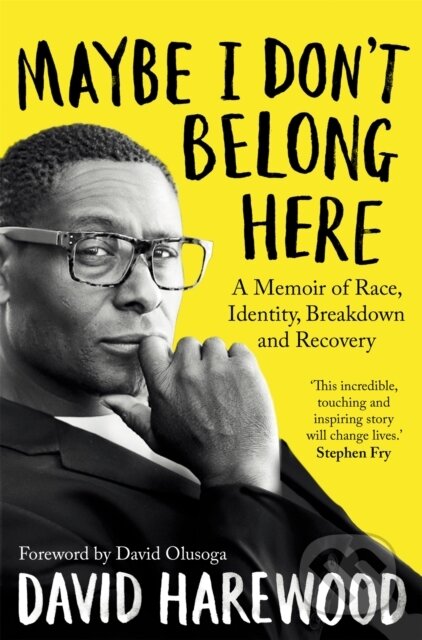 Maybe I Don't Belong Here (A Memoir of Race, Identity, Breakdown and Recovery)