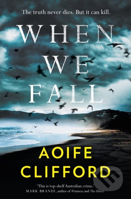 When We Fall - Aoife Clifford