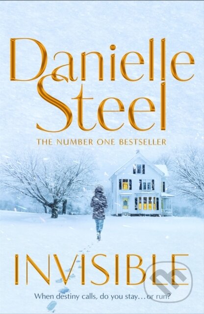 Kniha: Invisible (Danielle Steel). MacMillan, 2022