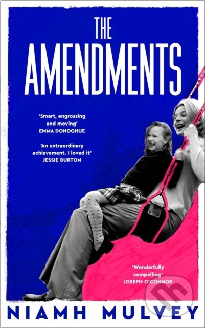 The Amendments (the instant Irish bestseller about one family through the generations)